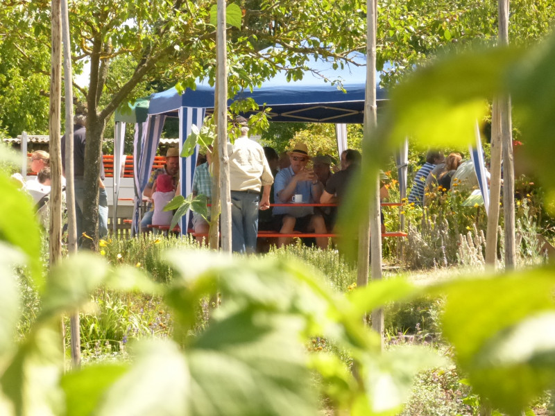 Menschen stehen und unterhalten sich auf einer Veranstaltung im Freien unter grünen Bäumen